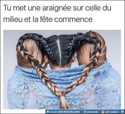 L'idée est terriblement cruelle mais terriblement drôle aussi ! (Que personne n'essaie surtout). Allez, question simple, combien de pattes a l'araignée ?