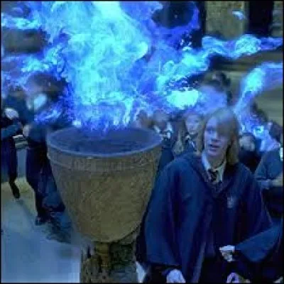 Dans le "Tournoi des Trois Sorciers", il faut réussir quatre grandes épreuves pour remporter la Coupe de Feu.