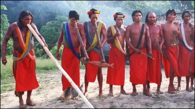"Peau rouge" est une expression familière pour désigner les tribus indiennes d'Amérique du Nord.