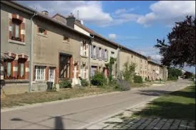 Nous sommes dans le Grand-Est, à Bonzée. Village au pied des côtes de Meuse, dans la plaine de la Woëvre et dans le parc naturel régional de Lorraine, il se situe dans le département ...