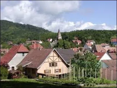 Commune du Grand-Est, dans le parc naturel régional des Ballons des Vosges, Leimbach se situe dans le département ...