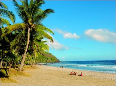 Dans quel endroit préfères-tu vivre ?