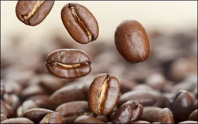 La caféine permet...