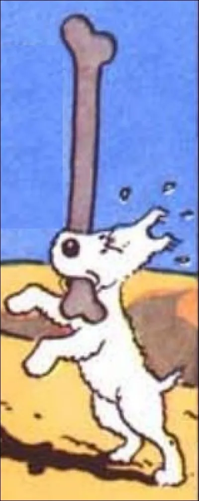 Qui Milou assomme-t-il par inadvertance, avec un os de dromadaire, dans "Le Crabe aux Pinces d'Or" ?