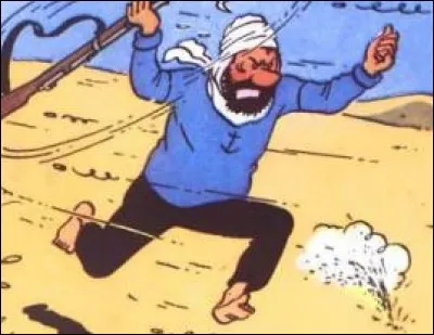 Dans "Le Crabe aux Pinces d'Or", qui le capitaine Haddock parvient-il à assommer avec son fusil ?