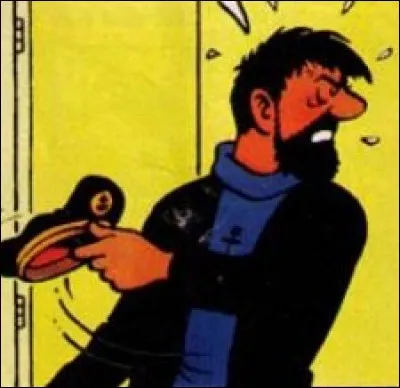 Dans "Tintin et les Picaros", où atterrit la casquette du capitaine Haddock lorsque, de rage, il la lance vers un porte-manteau ?