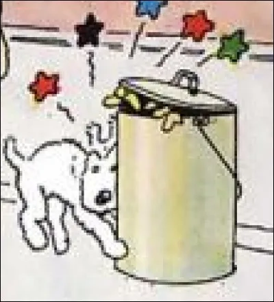 Qu'arrive-t-il à Milou au début de "L'Étoile Mystérieuse", et à Tintin au début de "L'Oreille Cassée" ?