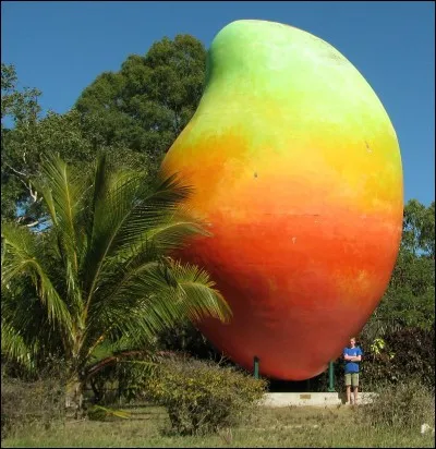 Le Big Mango, représente une mangue géante, se situe dans quelle ville australienne ?
