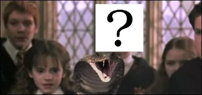 Qui est ce personnage mystère ?