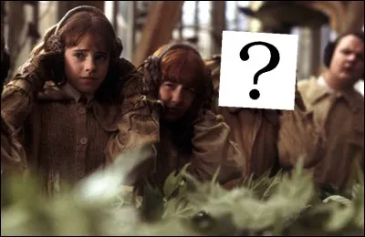 Qui est ce personnage mystère ?