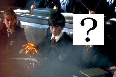 Qui est ce personnage mystère ?