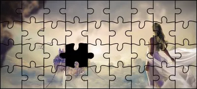 Quelle est la bonne pièce ?