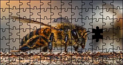 Quelle est la bonne pièce ?