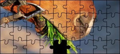 Quelle est la bonne pièce ?