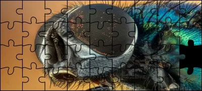 Quelle est la bonne pièce ?