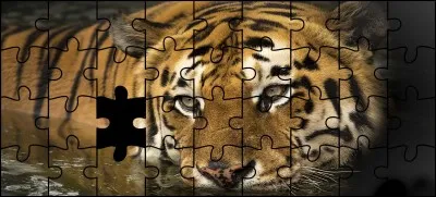 Quelle est la bonne pièce ?