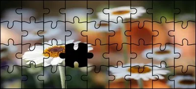 Quelle est la bonne pièce ?