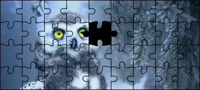 Quelle est la bonne pièce ?