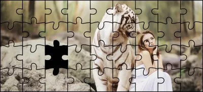 Quelle est la bonne pièce ?