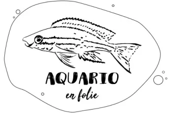 Quiz Aquariophilie