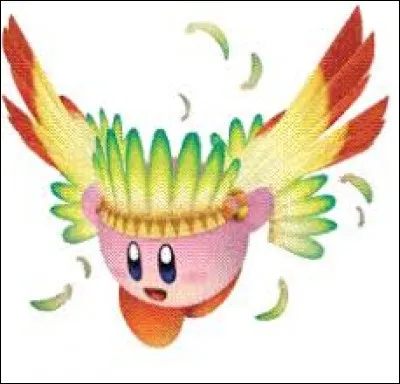 Quel est le nom de cette transformation de Kirby ?
Kirby...