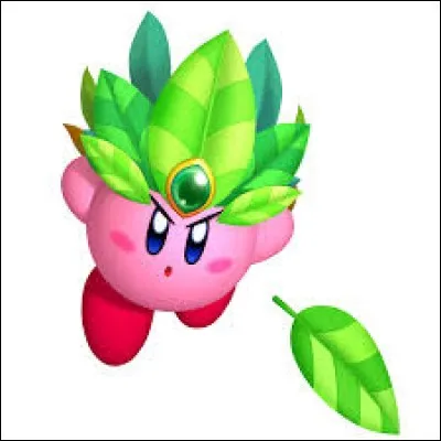 Quel est le nom de cette transformation de Kirby ?
Kirby...