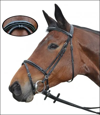 Quelle partie du filet se trouve dans le cercle ?