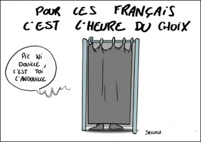 Faites le bon choix entre entre 'deux solutions contradictoires, chacune étant aussi insatisfaisante que l'autre' !