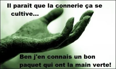 Là, ça frôle la connerie.