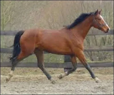 Et enfin que dis-tu de celui-ci ?