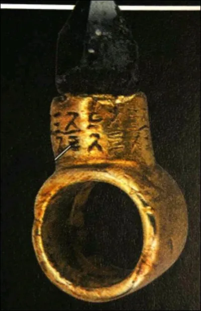 Quel personnage de "Star Wars VIII" porte une bague sur laquelle il y a un morceau de roche provenant du château de Dark Vador ?