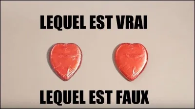 Cochez la phrase fausse.