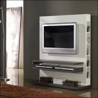 Voulez-vous une télévision dans votre chambre ?