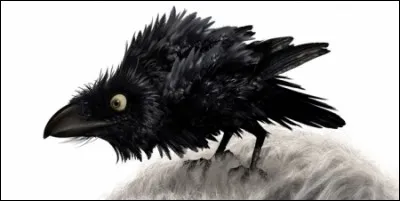 Dans quel Disney peut-on voir découvrir ce corbeau doté de parole ?