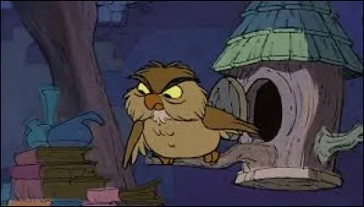 Quelle est la plus grande crainte d'Archimède, le hibou grincheux de Merlin l'enchanteur ?