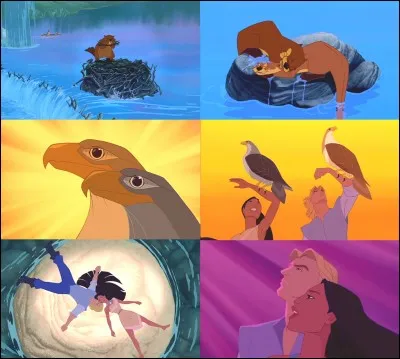 Sous l'air de quelle chanson du Disney "Pocahontas", peut-on voir ce couple d'aigle ?