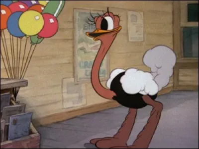 A qui appartient cette autruche facétieuse et gourmande qui répond au doux prénom d'Hortense ?