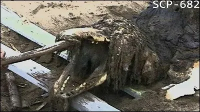 D'où vient SCP-682 ?