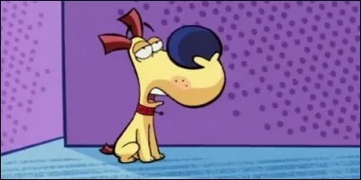 Quelle est la particularité de Corneil dans "Corneil et Bernie" ?