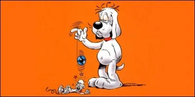 Comment s'appelle ce chien ?