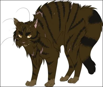 Après cette bataille il est renommé :