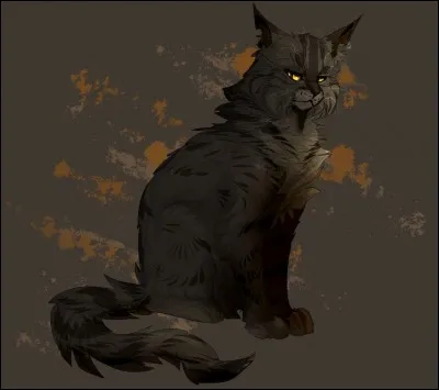 Était-il au Clan des Étoiles ou à la Forêt Sombre ?