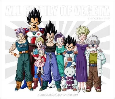 Tous les noms des membres de la famille de Bulma signifient... (hors Béjita)