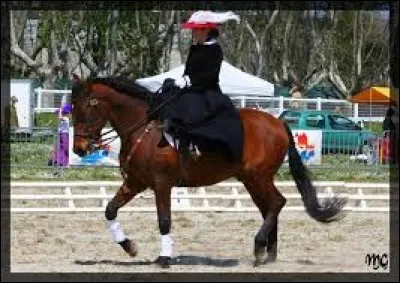 Quelle discipline pratique cette cavalière ?