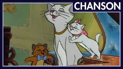 Qui est le méchant dans les arichtochats ?