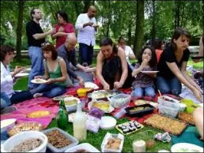 Madame ! Vous avez encore invité les piques-niqueurs à s'installer dans votre rue !