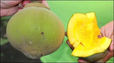 Quel est ce fruit ?