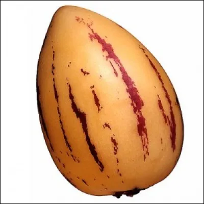 Que est ce fruit ?