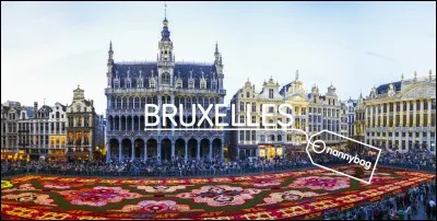 Combien d'habitants compte la ville de Bruxelles ? (avril 2018)