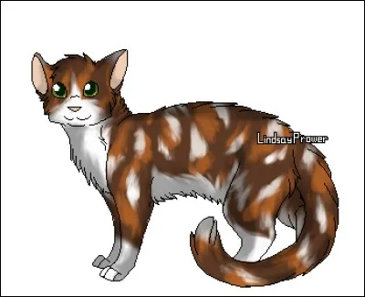 Écaille de Tortue est ...